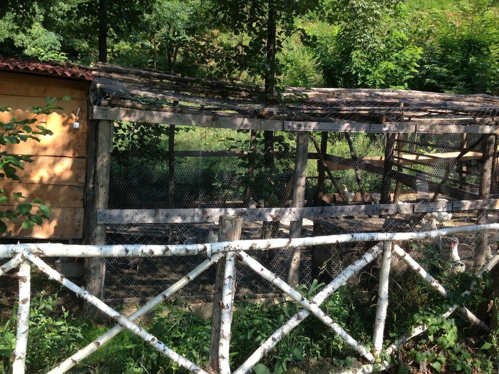 Borlova Gasthaus Maria מראה חיצוני תמונה