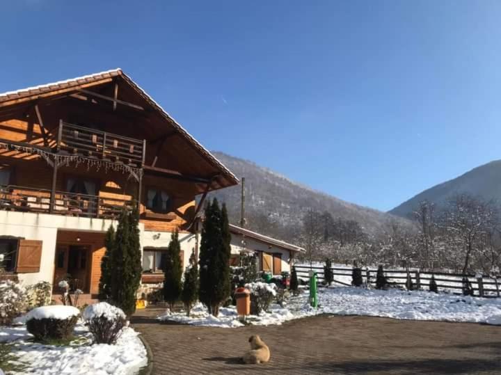 Borlova Gasthaus Maria מראה חיצוני תמונה